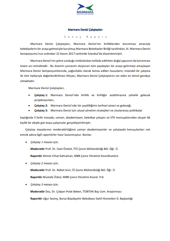 III. MDS Sonuç Raporu 