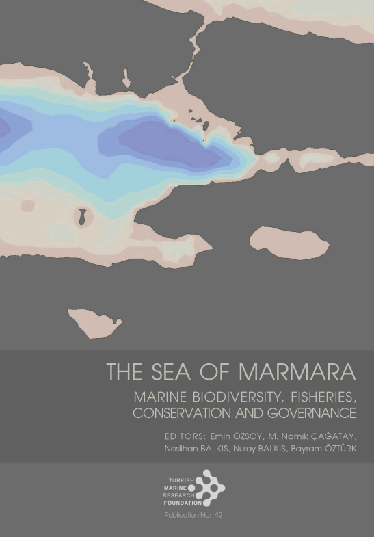 The Sea of Marmara