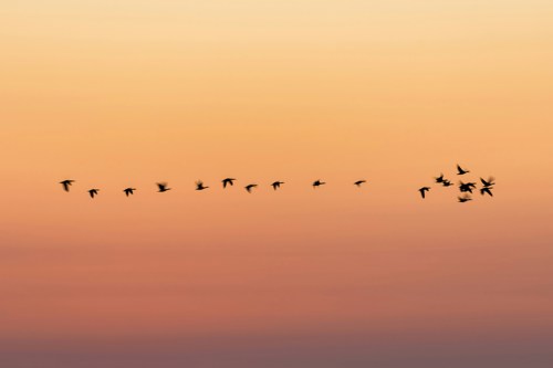 Rakamların Ötesinde İnsan: Kapsayıcı Yerel Planlama Süreçlerinde Demografik Verinin Rolü
