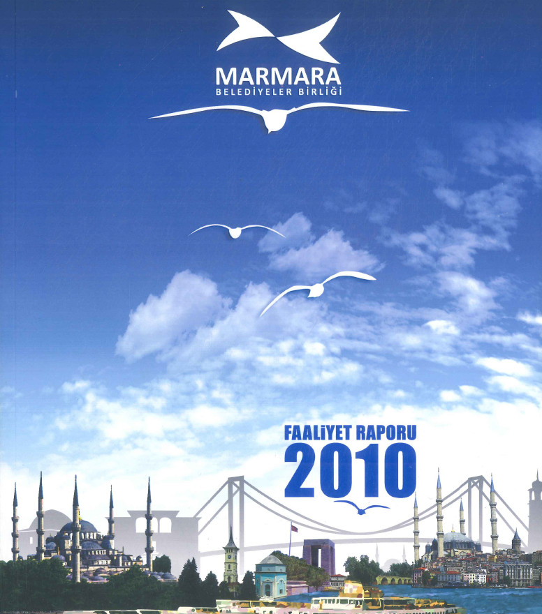 2010 Yılı Faaliyet Raporu