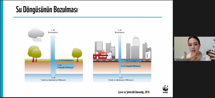 Şehirlerde Yağmur Suyu Kullanım Stratejileri Çevrimiçi Seminerde Ele Alındı}