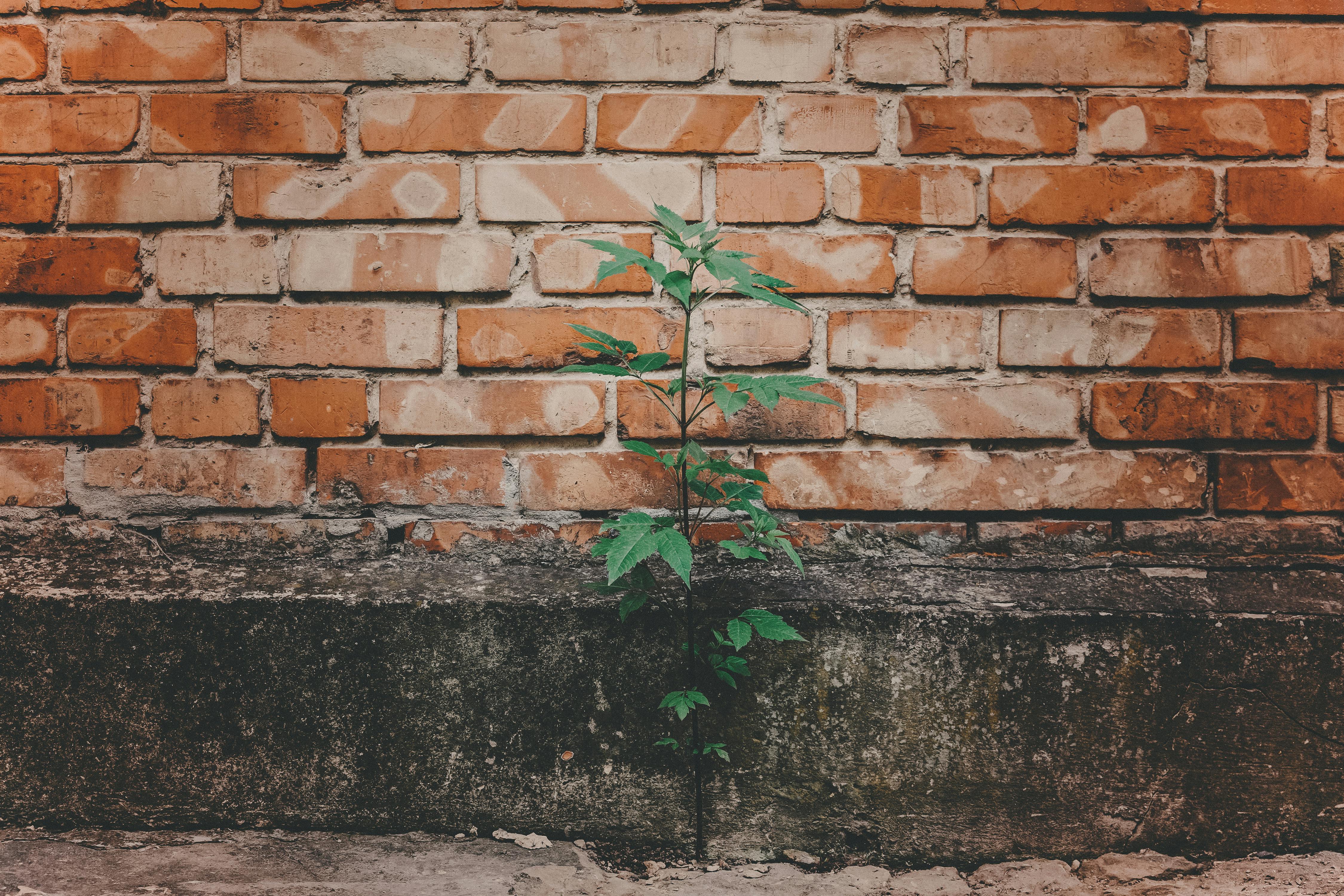 Yerel Yönetimler için İklim Adaleti Öğrenme Programı}