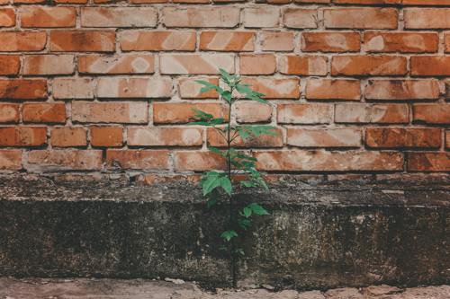 Yerel Yönetimler için İklim Adaleti Öğrenme Programı