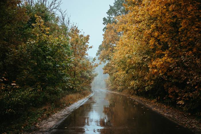 Covenant of Mayors Green Champions 2026 Başvuruları Açıldı