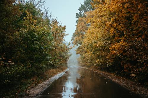 Covenant of Mayors Green Champions 2026 Başvuruları Açıldı