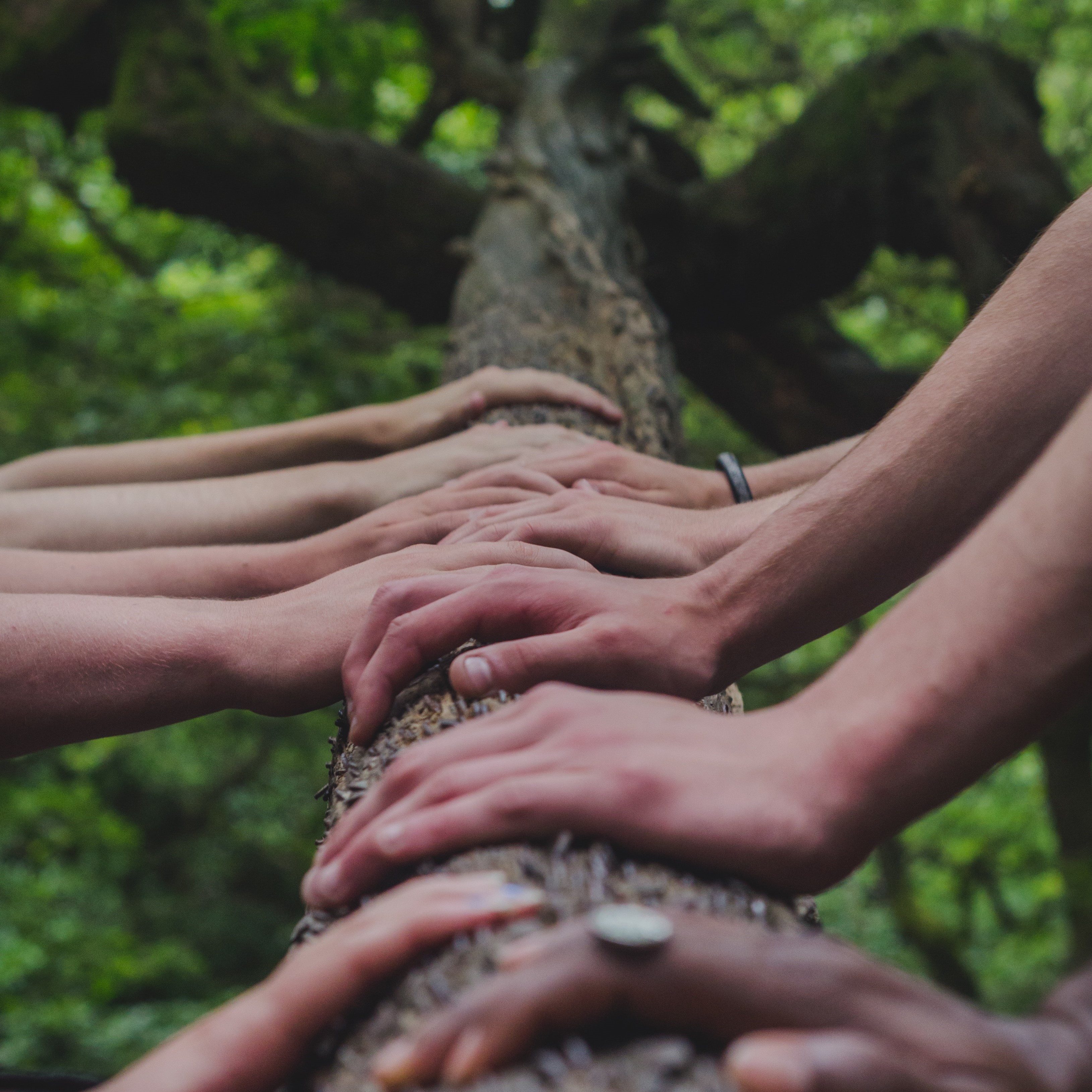 Social Services Platform