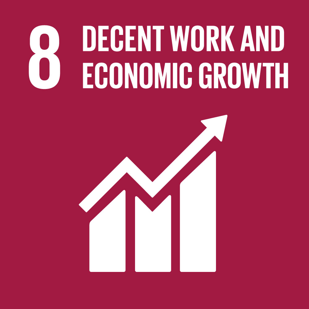 8- Decent Work And Economic Growth